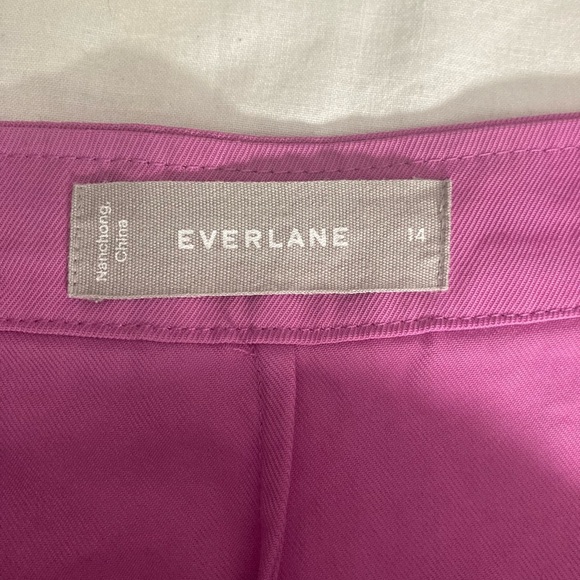 Everlane Japanese Go Weave Picnic Button-Down Dress Size 14 Magenta - Picture 3 of 8